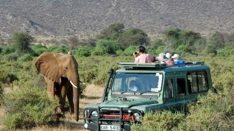 1 Day Tsavo East Safari