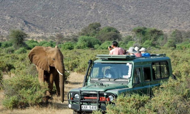 1 Day Tsavo East Safari