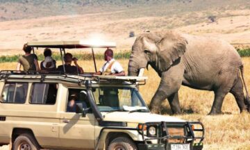 10 Day Kenya And Tanzania Safari Tour Exploring 6 Iconic Parks