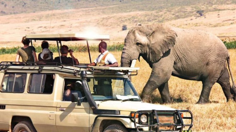 10 Day Kenya And Tanzania Safari Tour Exploring 6 Iconic Parks
