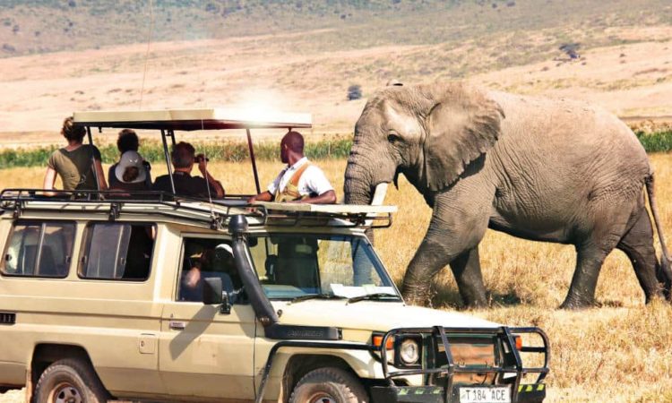 10 Day Kenya And Tanzania Safari Tour Exploring 6 Iconic Parks