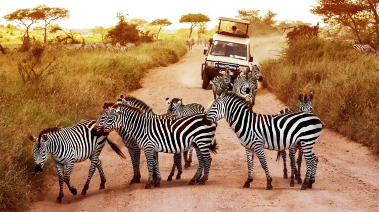 14 DAYS - 9 PARKS ULTIMATE KENYA-TANZANIA SAFARI
