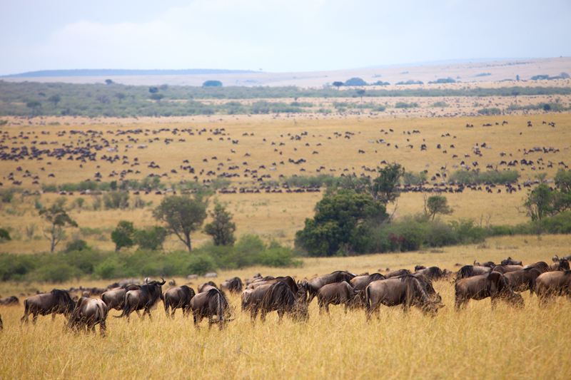 14 of Best Places to Go for a Day Trip in Kenya