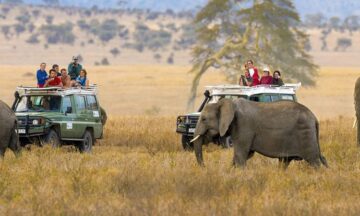 3-DAY TASTE OF TANZANIA SAFARI