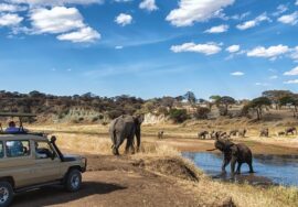 4-DAY BEST OF TANZANIA FLY & DRIVE SAFARI