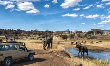 4-DAY BEST OF TANZANIA FLY & DRIVE SAFARI