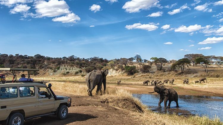 4-DAY BEST OF TANZANIA FLY & DRIVE SAFARI