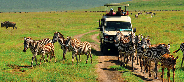 5 DAYS, 3 PARKS TANZANIA WILDLIFE SAFARI