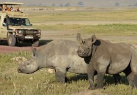 6-DAY FOUR-PARK “ALL-IN” TANZANIA SAFARI