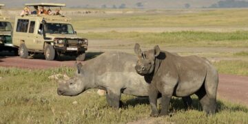 6-DAY FOUR-PARK “ALL-IN” TANZANIA SAFARI
