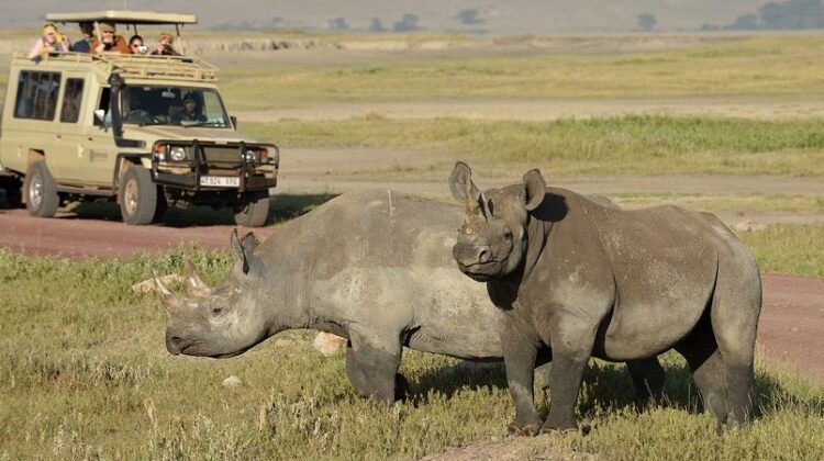 6-DAY FOUR-PARK “ALL-IN” TANZANIA SAFARI