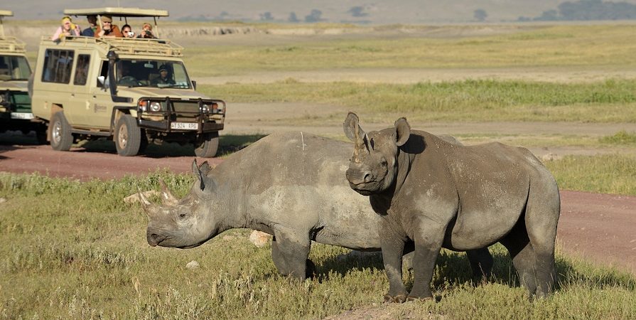 6-DAY FOUR-PARK “ALL-IN” TANZANIA SAFARI