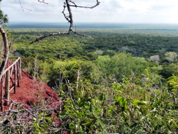 ARABUKO SOKOKE FOREST RESERVE