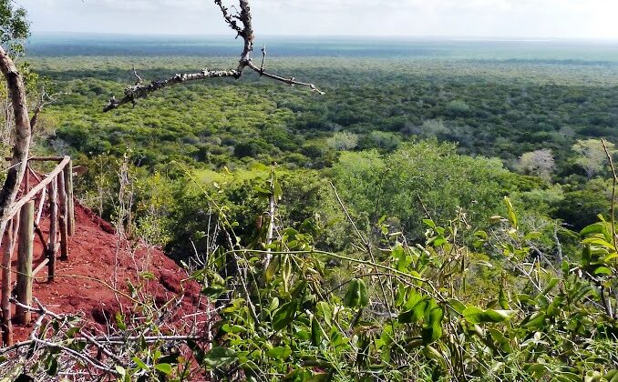 ARABUKO SOKOKE FOREST RESERVE