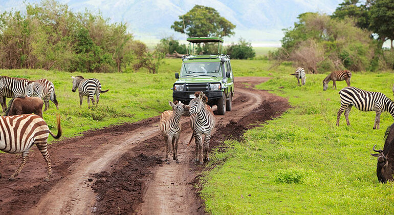 ARUSHA NATIONAL PARK FULL DAY SAFARI TRIP
