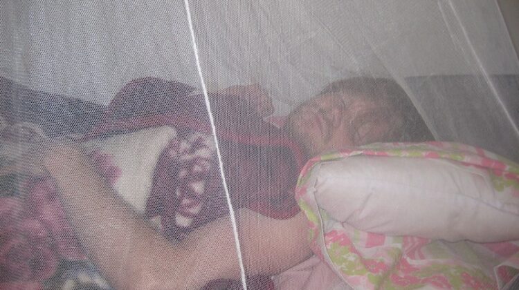 Are mosquito nets provided in safari lodge rooms tents