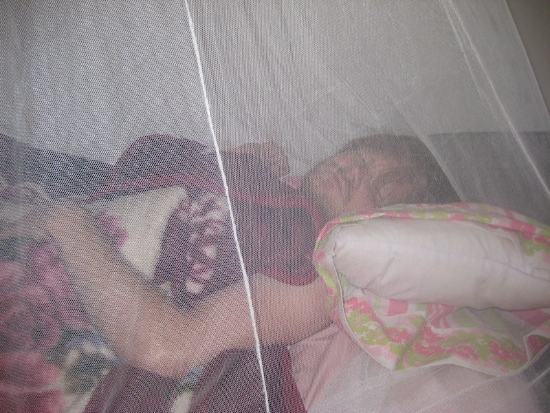 Are mosquito nets provided in safari lodge rooms tents