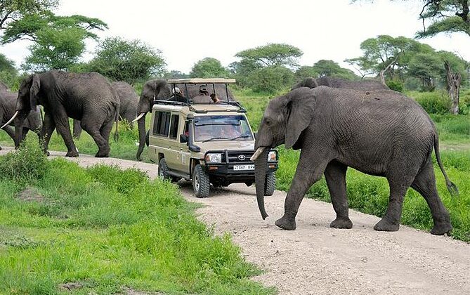 Arusha National Park for Walking Safari Tours