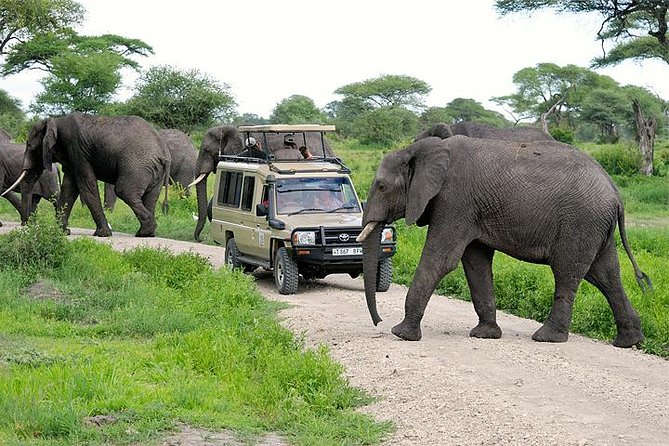 Arusha National Park for Walking Safari Tours