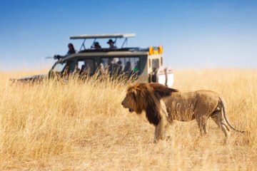 BEST OF KENYA TANZANIA SAFARI
