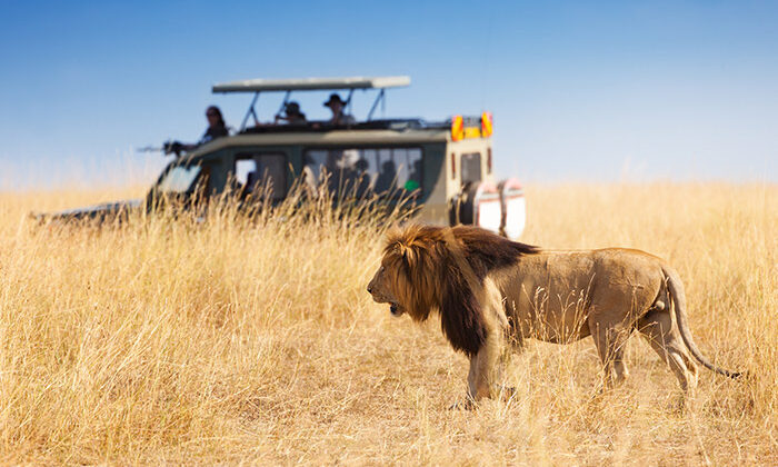 BEST OF KENYA TANZANIA SAFARI