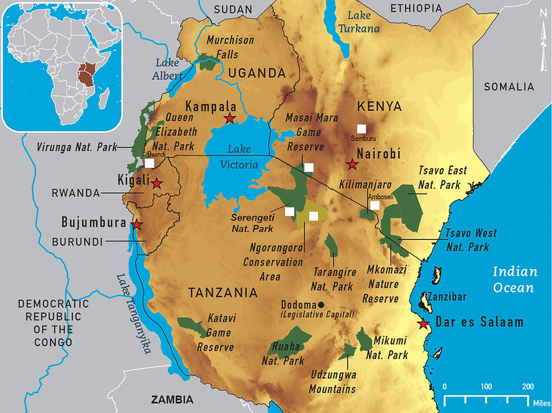 Best Safari Countries of East Africa