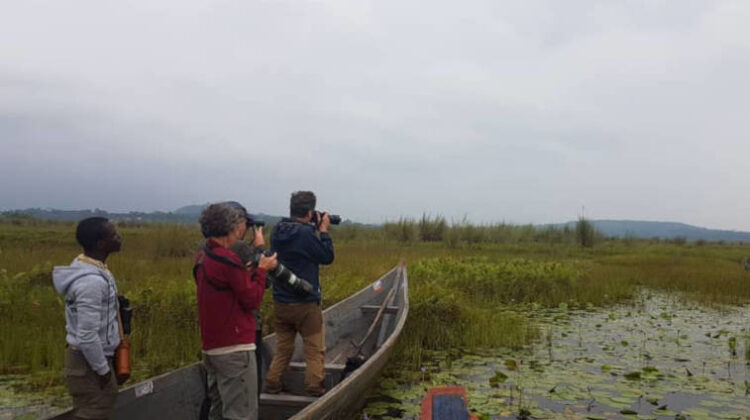 Bird Watching Safari Tours in Kenya & Tanzania