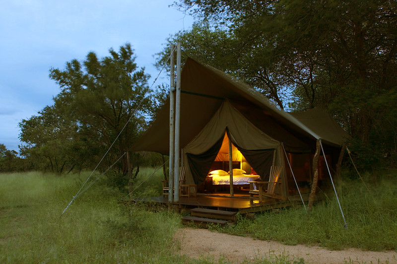 Budget-Friendly Safari Camps 💰