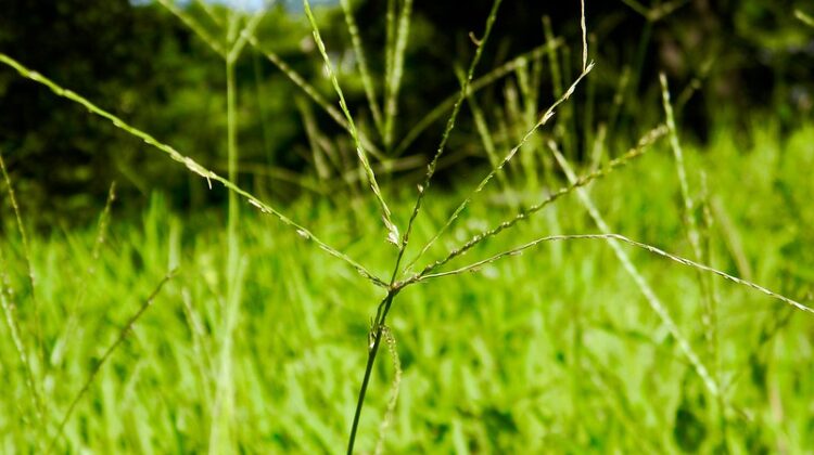Ecotourism – Responsible Travel Made Easy