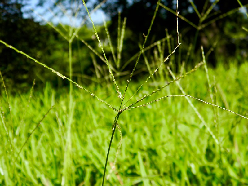 Ecotourism – Responsible Travel Made Easy