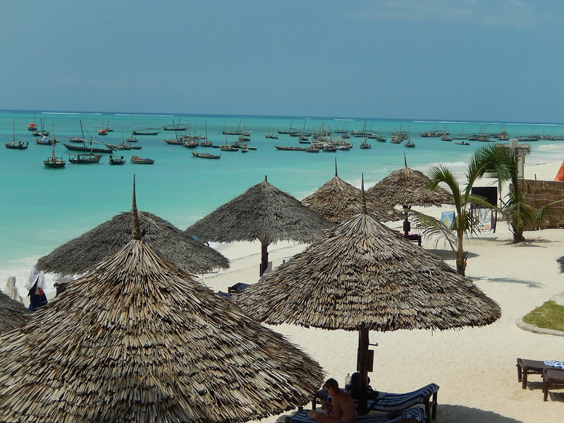 Exotic Zanzibar