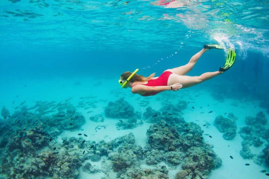 Go Snorkeling from Diani Beach & See Dolphins