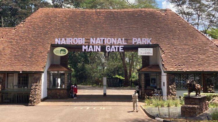 Half Day Private Safari Tour of Nairobi National Park