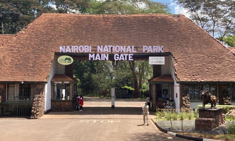 Half Day Private Safari Tour of Nairobi National Park