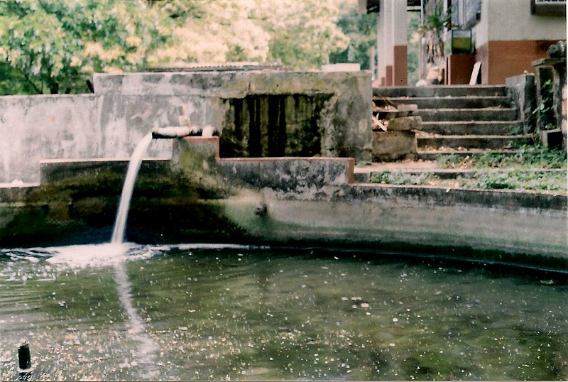 Haller Park