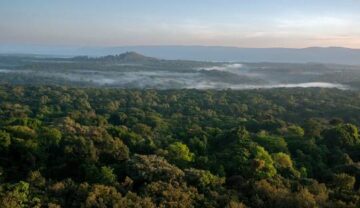 KAKAMEGA FOREST RESERVE