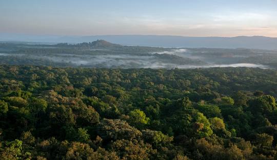 KAKAMEGA FOREST RESERVE