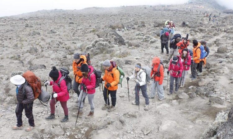 KILIMANJARO TREK CLIMBING THE MACHAME ROUTE