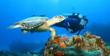 KISITE MPUNGUTI MARINE PARK & RESERVE