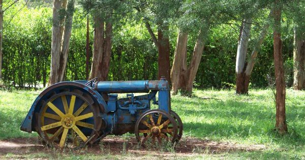Karen Blixen Museum A Journey into History and Literature