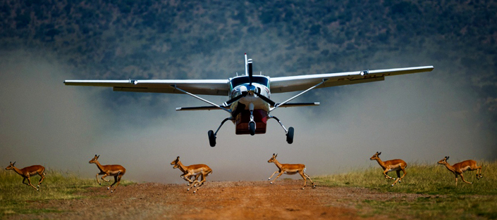 Kenya Fly In Safari Tours