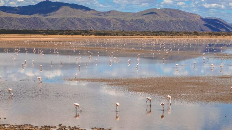 LAKE EYASI , TANZANIA