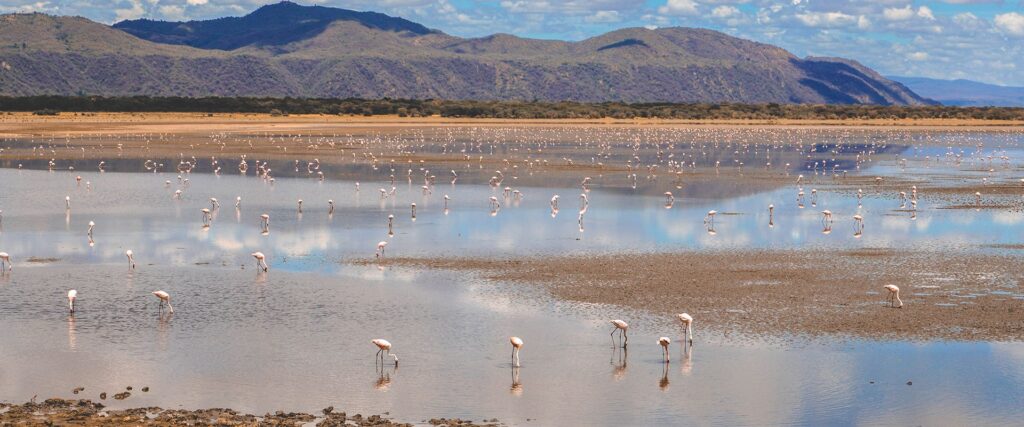 LAKE EYASI , TANZANIA