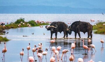 LAKE NAKURU NATIONAL PARK