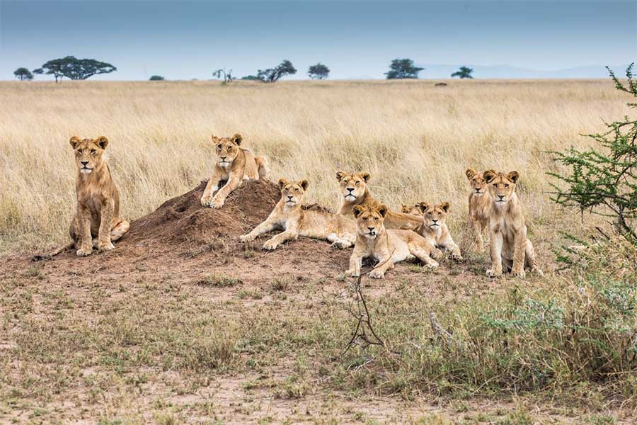 LEMEK CONSERVANCY