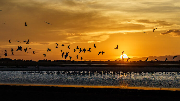Lake Eyasi – Safari Into the Past