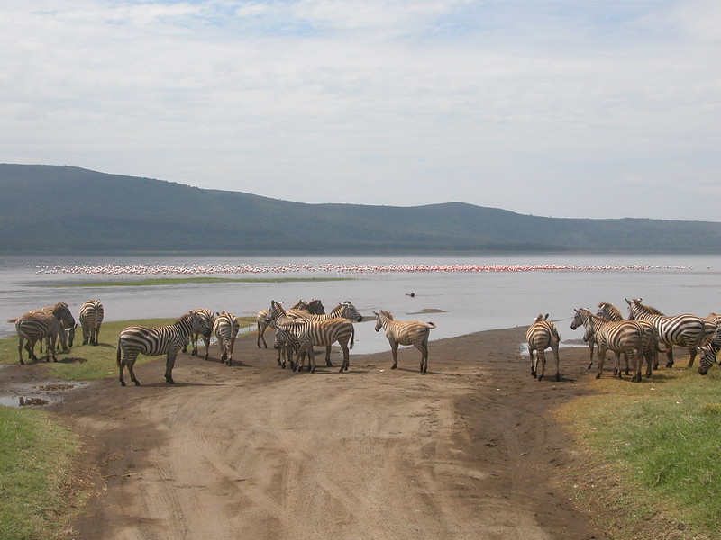 Lake Nakuru, Lake Naivasha & Crescent Island