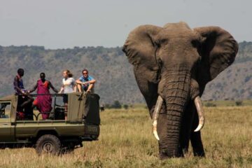 MARA NORTH CONSERVANCY