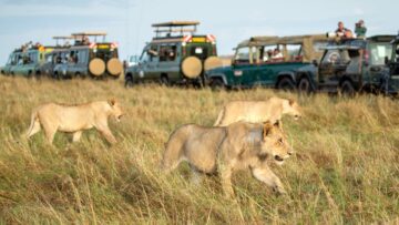 MASAI MARA NATIONAL RESERVE
