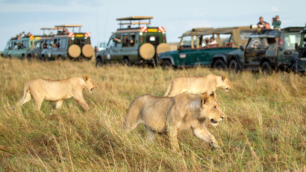 MASAI MARA NATIONAL RESERVE